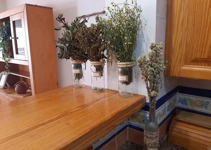 Coast 150 Puerto Διαμέρισμα Πουέρτο Ντε Λα Κρουζ